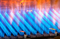 Carmunnock gas fired boilers